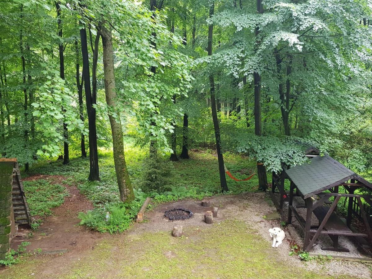 Slovak Cottage Near Bratislava In The Heart Of The Carpathians Modra Exterior foto