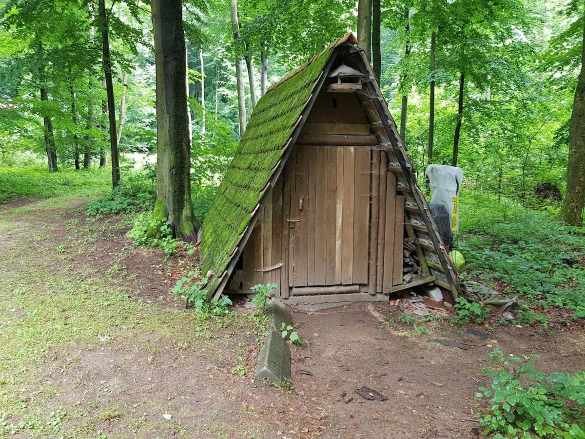 Slovak Cottage Near Bratislava In The Heart Of The Carpathians Modra Exterior foto