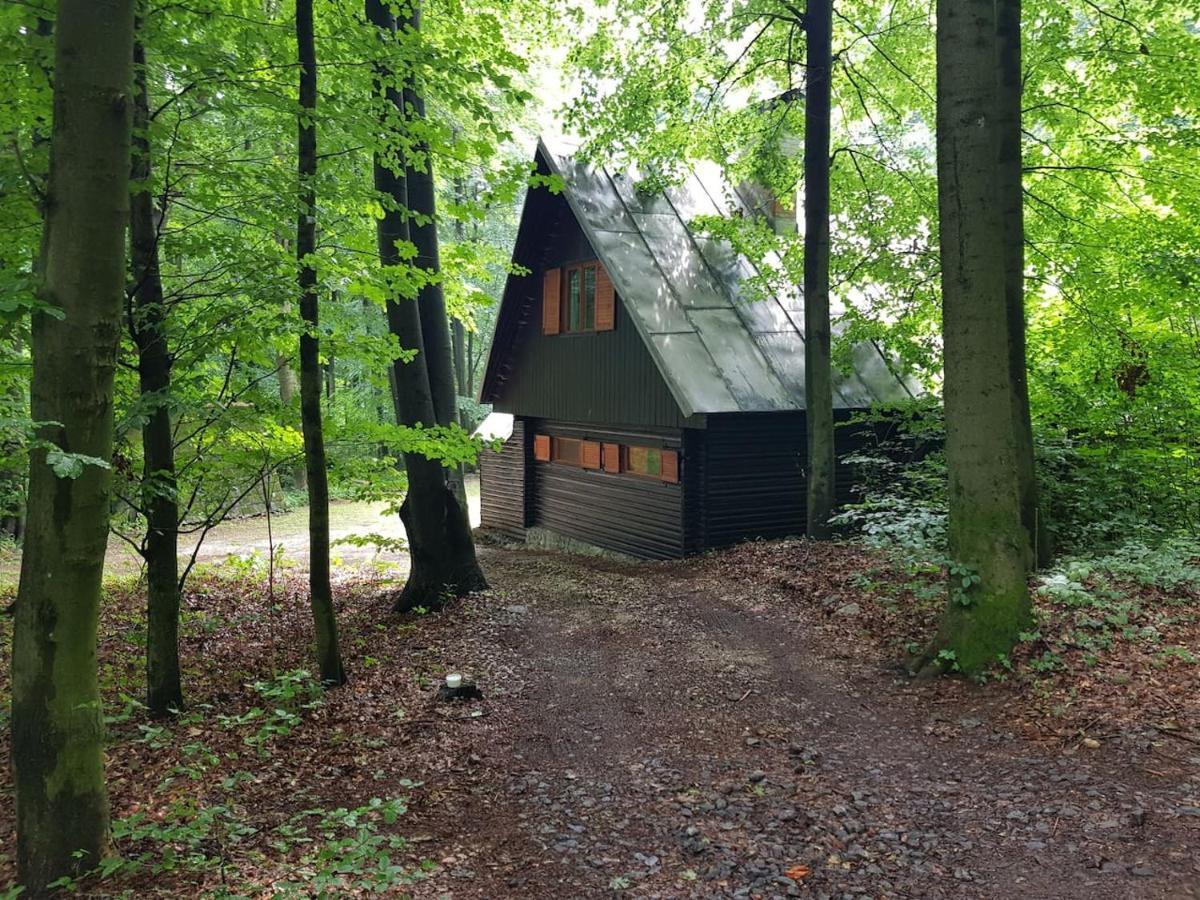 Slovak Cottage Near Bratislava In The Heart Of The Carpathians Modra Exterior foto