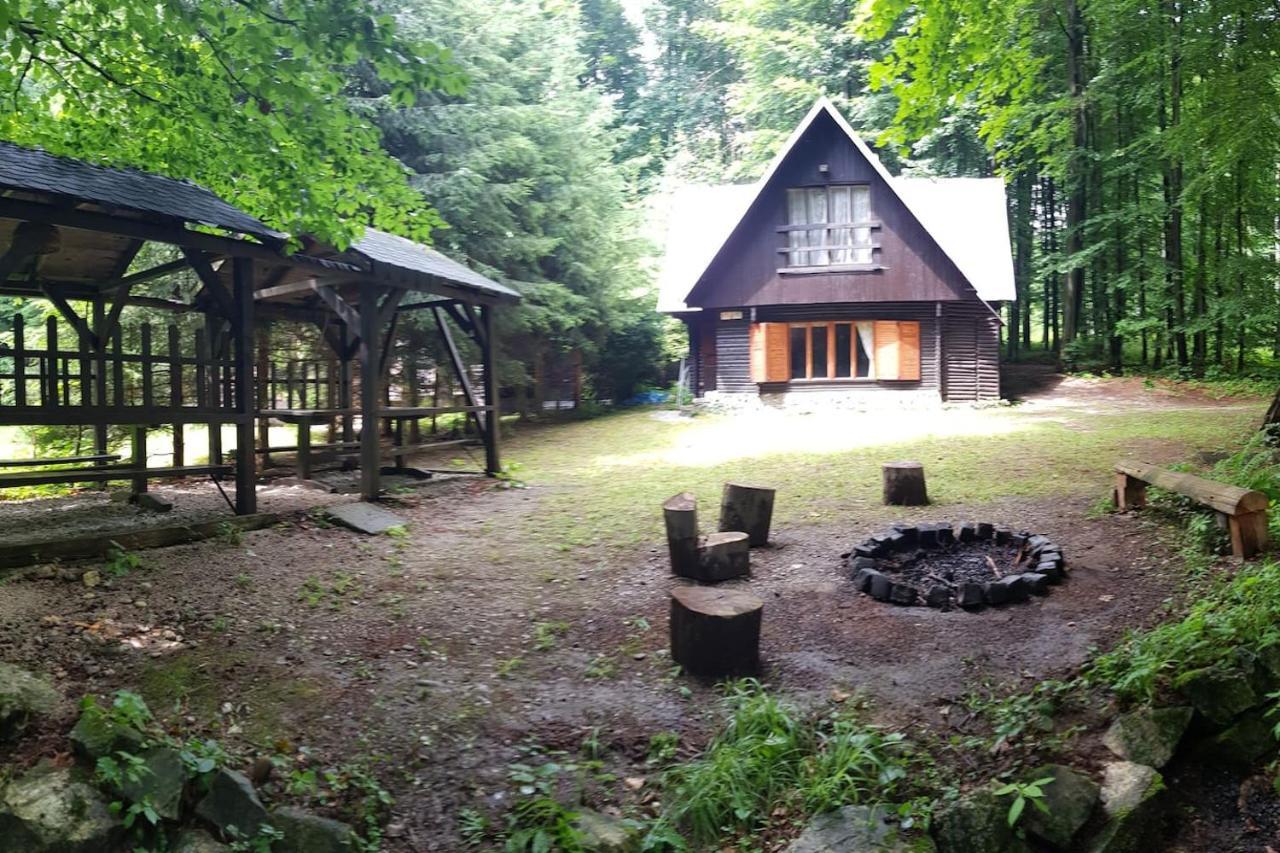 Slovak Cottage Near Bratislava In The Heart Of The Carpathians Modra Exterior foto